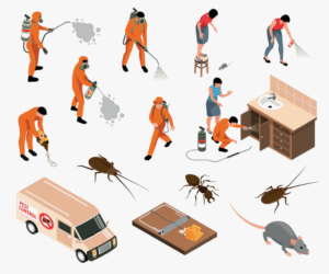 شركة مكافحة حشرات بمصفوت