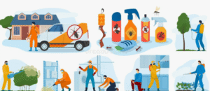 شركة مكافحة حشرات في مصفوت