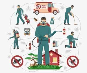 شركة مكافحة حشرات مصفوت