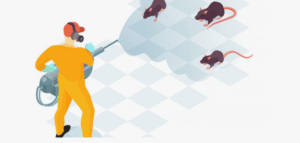 شركات مكافحة القوارض بمصفوت